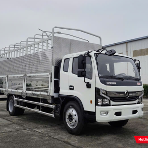 Đồng vàng 800 sở hữu cabin vuông vức, hiện đại